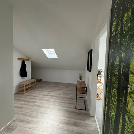 Waldzauber - Moderne Im Gruenen