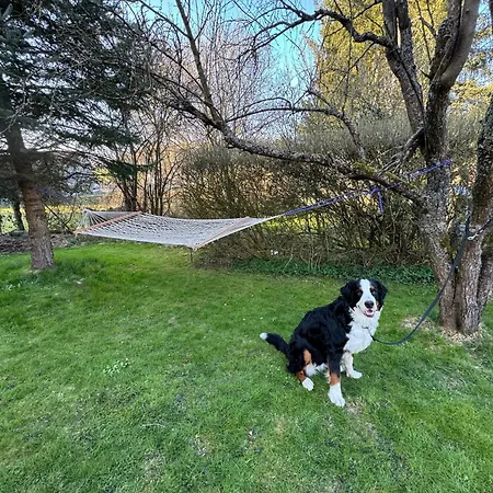 Lejlighed Waldzauber - Moderne Im Gruenen